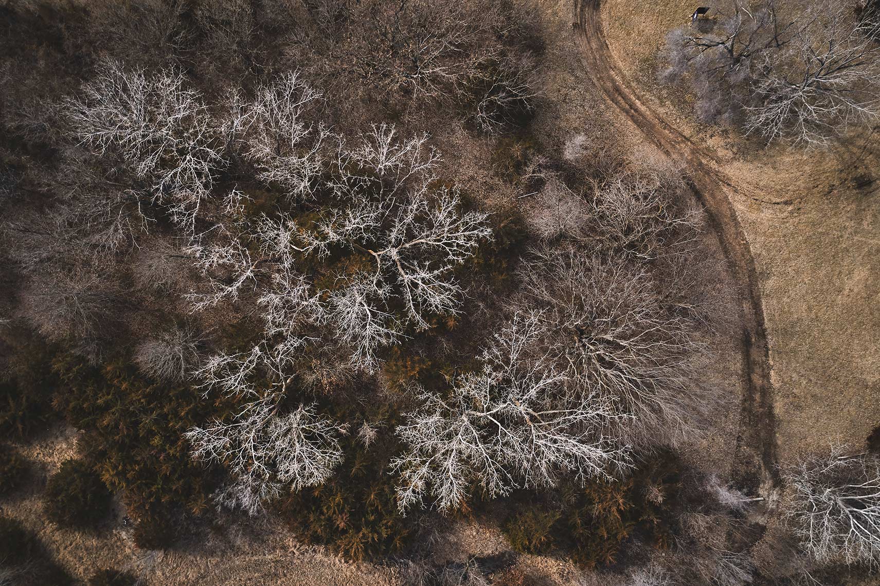 DJI_0445