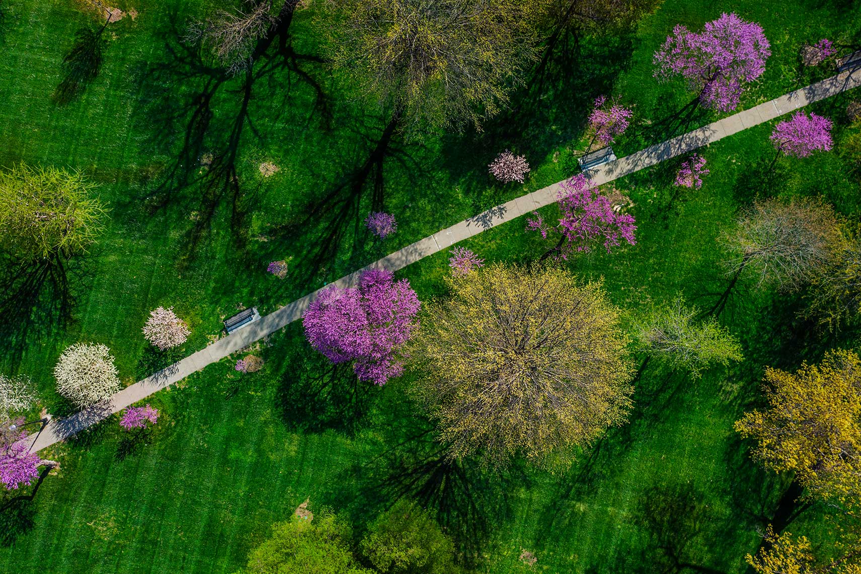 DJI_0756A